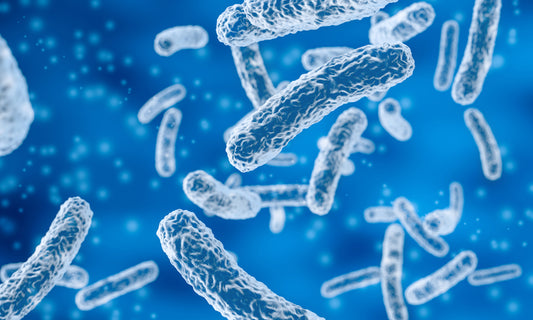 WellO2 och legionella